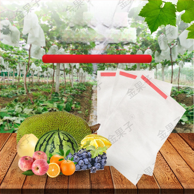 nepluošto vaisių maišelis su kenkėjų apsauga, kvėpuojantis, pusiau skaidrus, biologiškai skaidrus