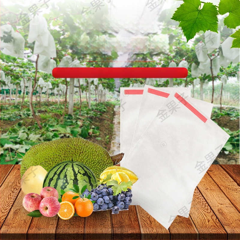 nepluošto vaisių maišelis su kenkėjų apsauga, kvėpuojantis, pusiau skaidrus, biologiškai skaidrus