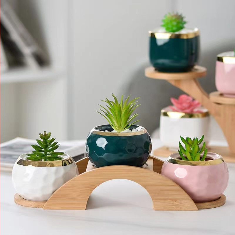 Επιτραπέζιο μπαμπού ράφι φυτών για παχύφυτα — Πολυεπίπεδο ξύλινο ράφι γλαστών, μοντέρνο μινιμαλιστικό στυλ, εύκολη συναρμολόγηση