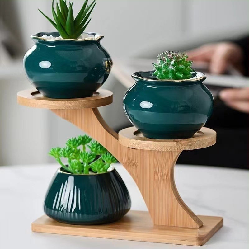 Επιτραπέζιο μπαμπού ράφι φυτών για παχύφυτα — Πολυεπίπεδο ξύλινο ράφι γλαστών, μοντέρνο μινιμαλιστικό στυλ, εύκολη συναρμολόγηση