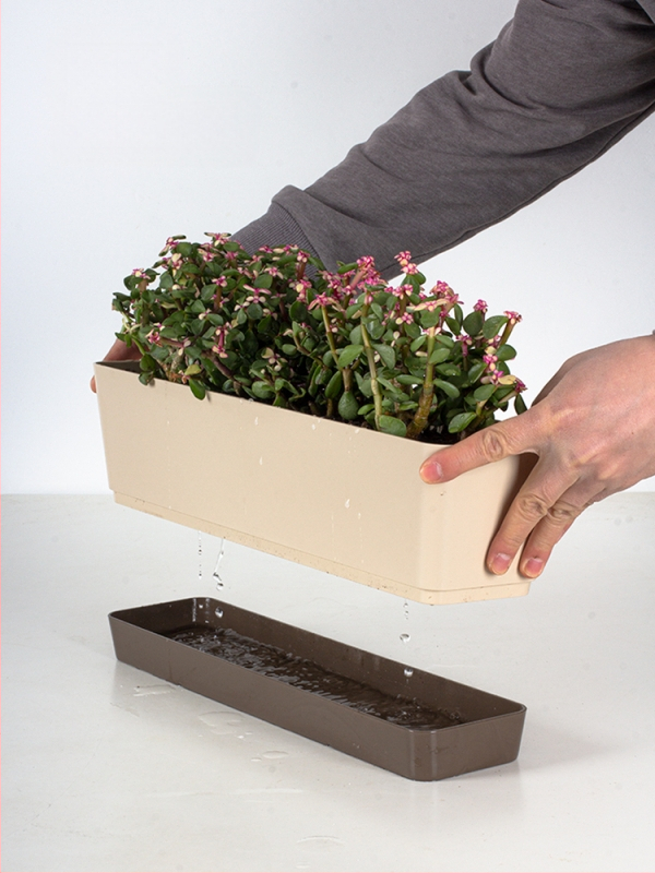 Ghiveci din plastic pentru grădinăritul de casă, stil minimalist, pentru podea