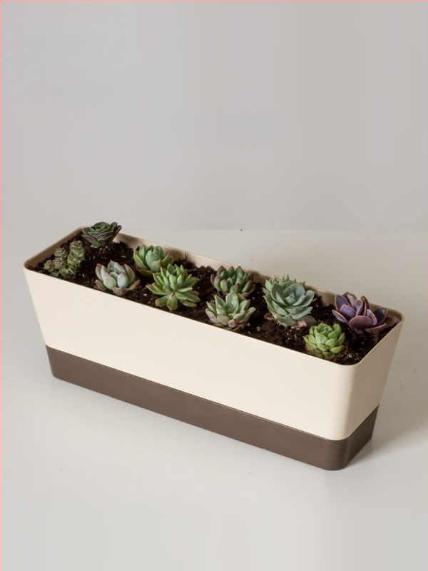 Ghiveci din plastic pentru grădinăritul de casă, stil minimalist, pentru podea