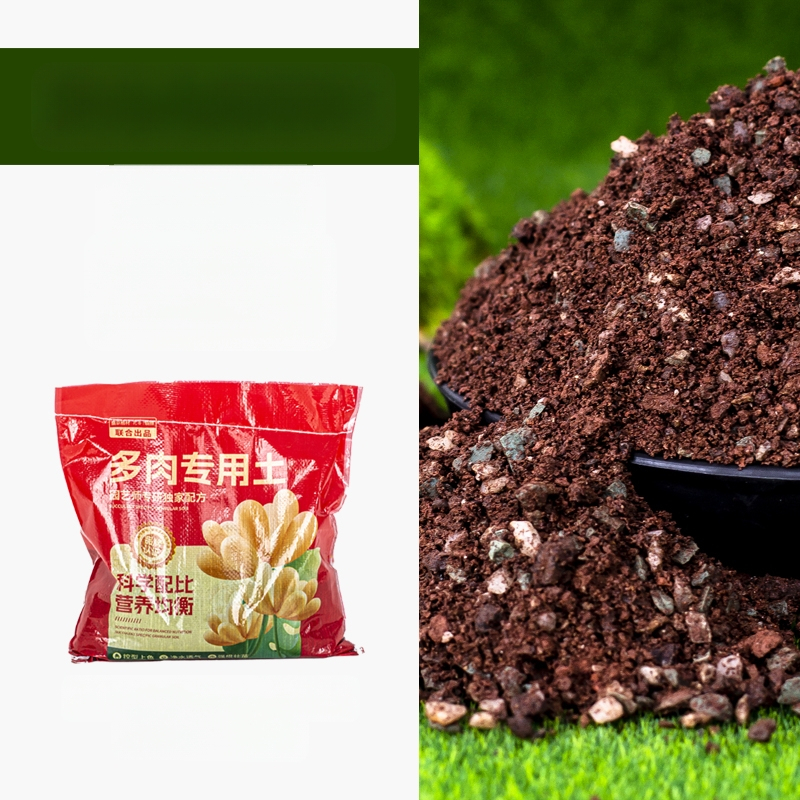 Ghiveci din plastic pentru grădinăritul de casă, stil minimalist, pentru podea