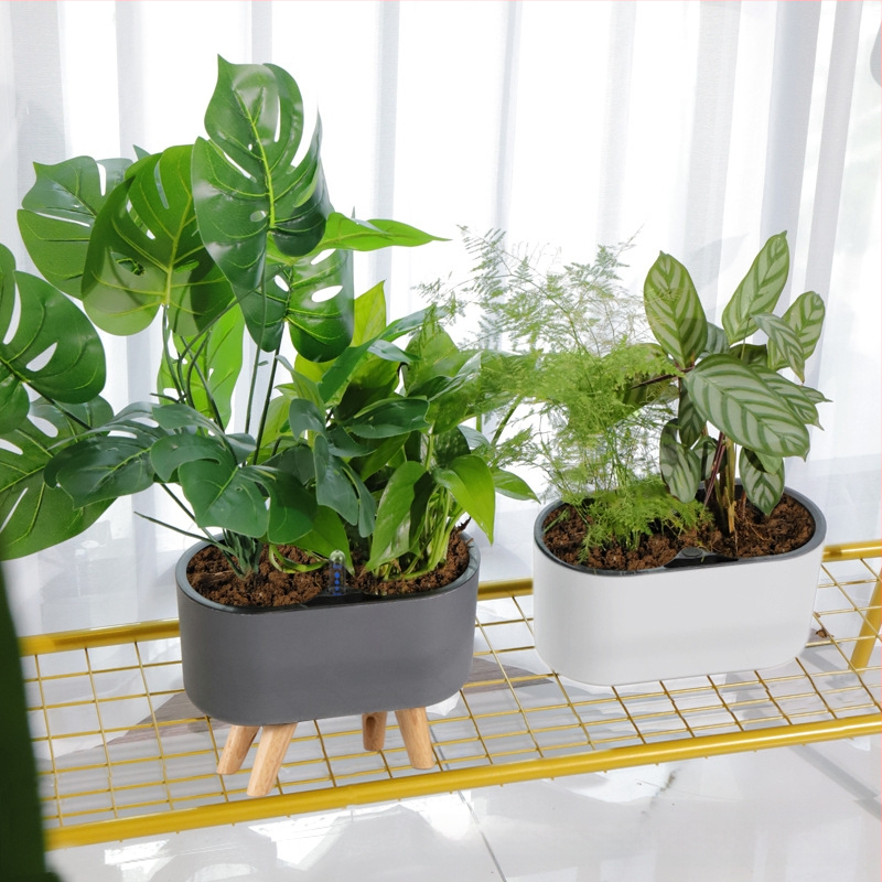 Γλάστρα από πλαστικό, με αυτοποτισμό, εξοικονόμηση νερού, αντοχή στη διάβρωση, διαπνοή; τοίχο ή δάπεδο, σκανδιναβικό στιλ