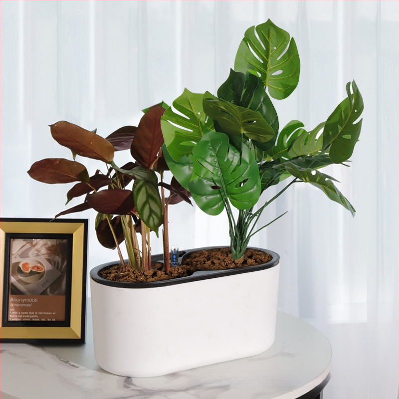 Γλάστρα από πλαστικό, με αυτοποτισμό, εξοικονόμηση νερού, αντοχή στη διάβρωση, διαπνοή; τοίχο ή δάπεδο, σκανδιναβικό στιλ