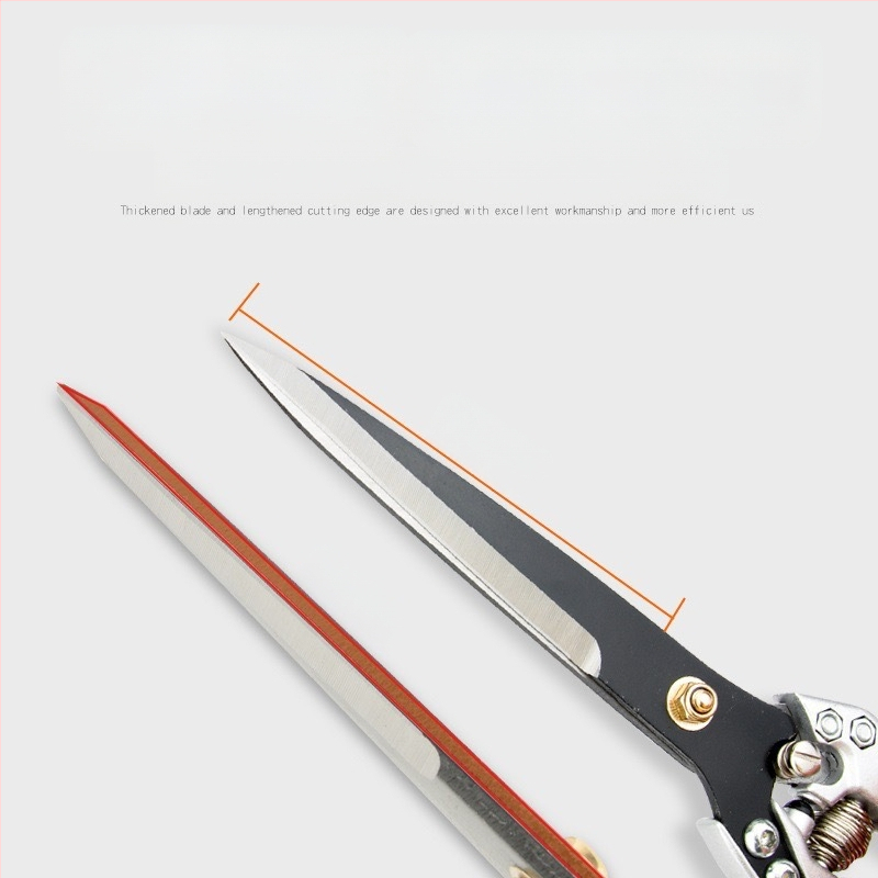 Ножици за вълна, ръчни, неръждаема стомана; марка Wallison; модел Professional wool shears; серия Wool shears