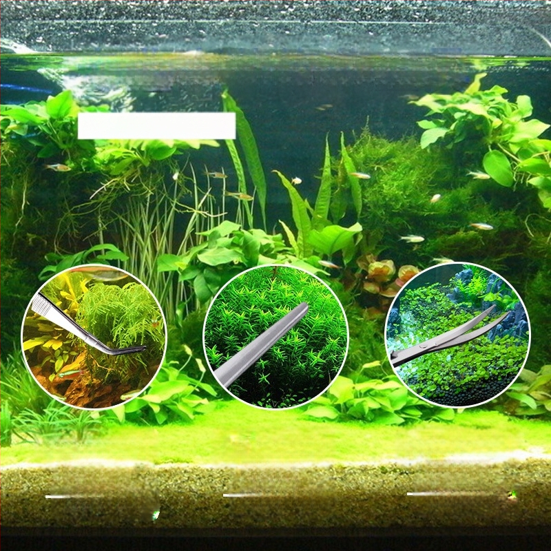 Instrumente pentru amenajare acvariu din oțel inoxidabil: pense din oțel, clemă de hrănire prelungită și foarfecă pentru plante acvatice