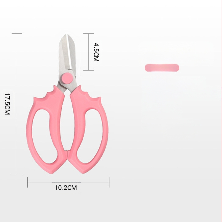 Flowery Edge škare za rezanje cvijeća sa širokom glavom – vrtni alat za cvjećare i kućne vrtare