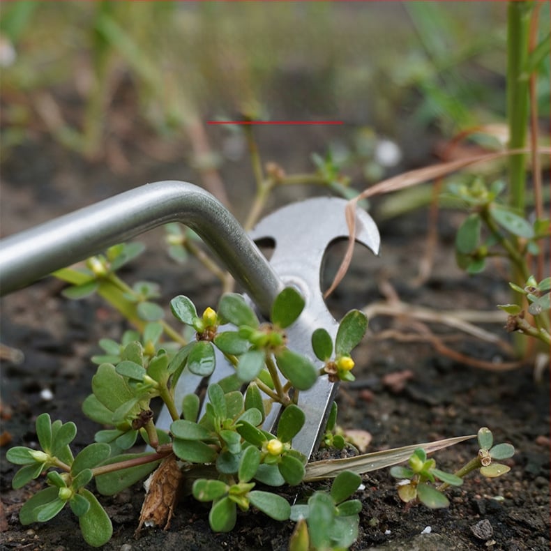 Unealtă de plivit din oțel inoxidabil – Brand Prepared, pentru grădină