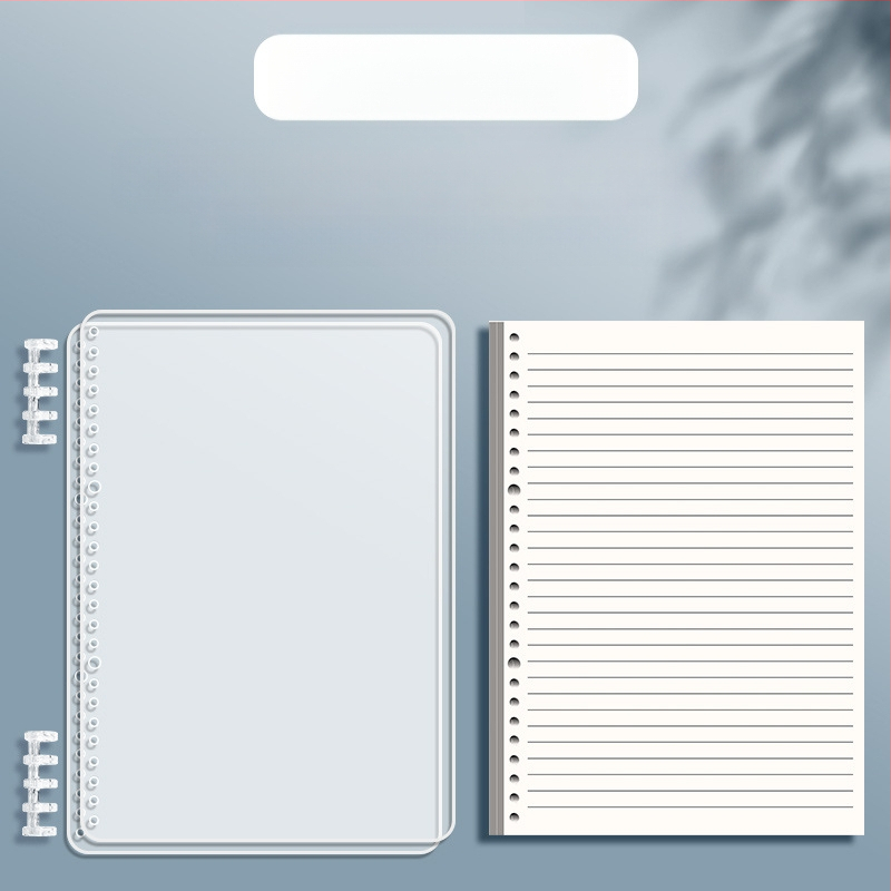 Caurspīdīgs piezīmju grāmatiņa ar noņemamu iekšējo bloku un kvadrātveida lapām, ideāli piemērots vidusskolas skolēniem