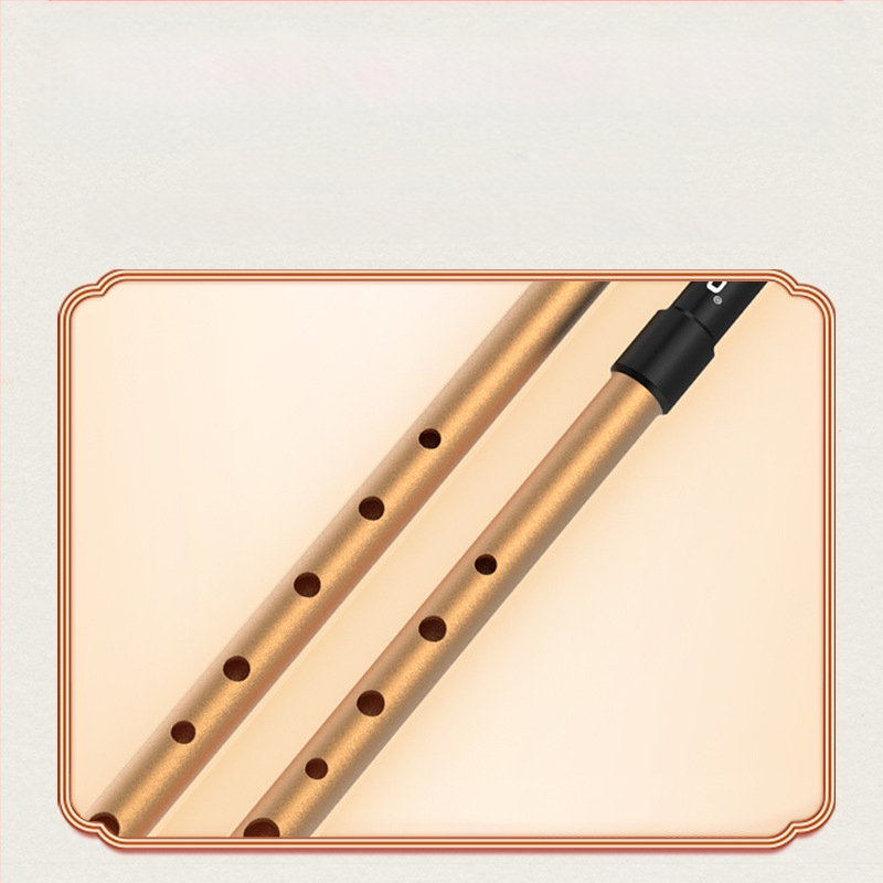 Fluier irlandez DBAO, ton C/D, șase găuri, pentru elevi