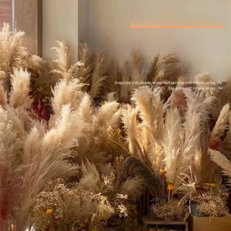 Rėdų džiovintų gėlių puokštė - Madingos tikros gėlės svetainei - Natūralus grindų vidaus dekoras - Medžiaga: Soft PVC; Prekė: Kita; Amatas: Kita; Įvairovė: Kita