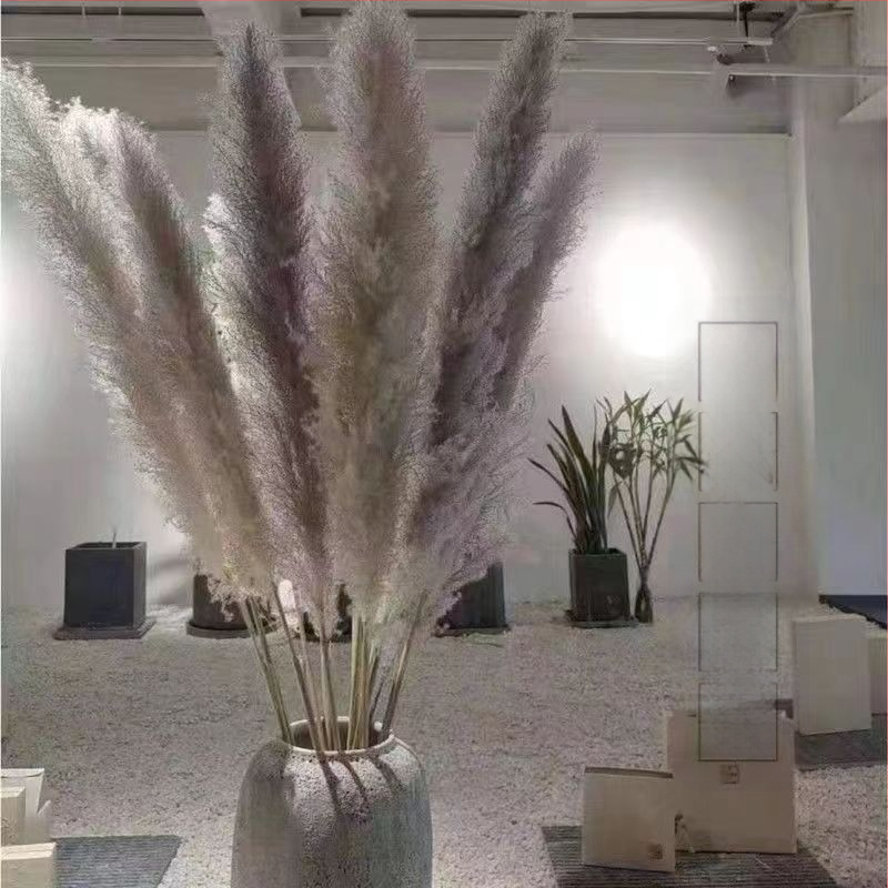 Rėdų džiovintų gėlių puokštė - Madingos tikros gėlės svetainei - Natūralus grindų vidaus dekoras - Medžiaga: Soft PVC; Prekė: Kita; Amatas: Kita; Įvairovė: Kita