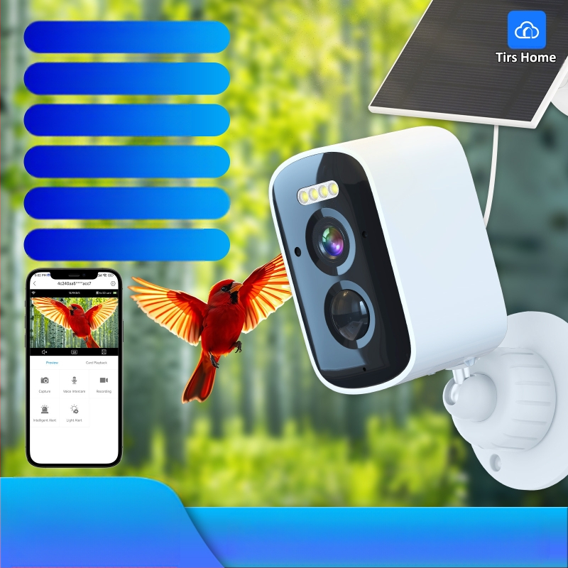 Интелигентна кормилка за птици с камера и ИИ разпознаване на птици – 5MP, 2560x1440, 3.6mm CMOS, външна употреба