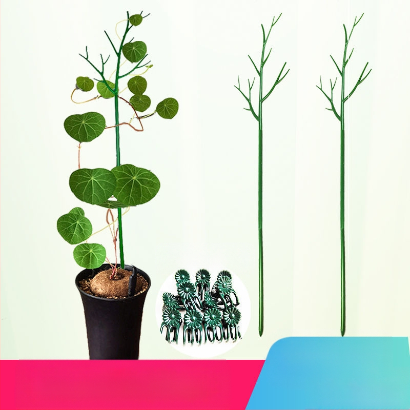 Taime toetusvars – plastmassist, rõdule ja koduaeda, taime toetus kukkumise vältimiseks