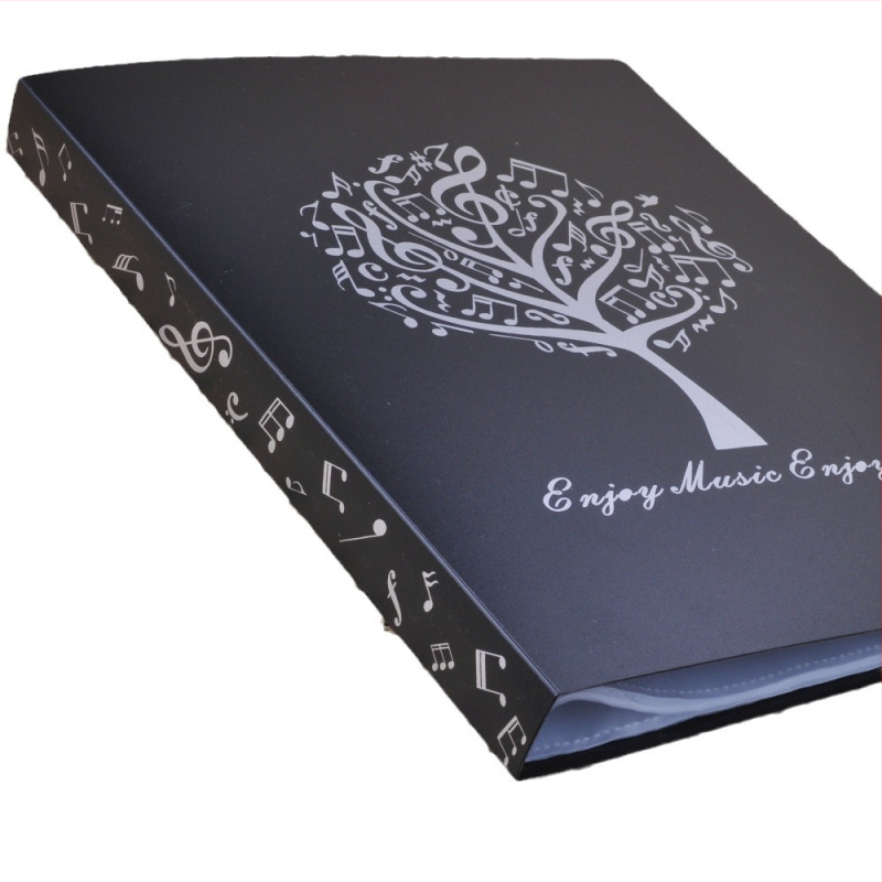 Dosar pentru partituri muzicale, material PVC, model MG-43, ambalaj OPP, potrivit pentru instrumente muzicale, brand DEDO