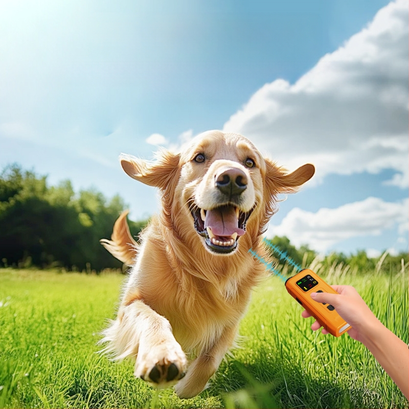 Υπερηχητικός Εκπαιδευτής Σκύλων Με Διπλή Κεφαλή, Φορητός, Επαναφορτιζόμενος, ABS