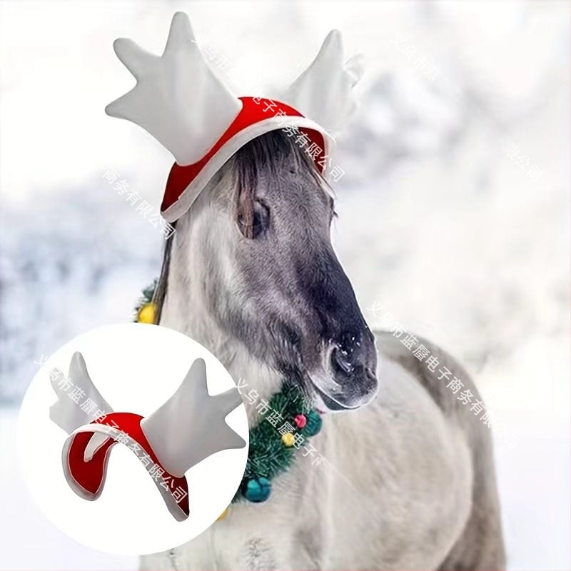 Καπέλο αλόγου, Μοντέλο 987654321, για άλογα, εξαγωγικά αποκλειστική διαθεσιμότητα, Δεν εισάγεται