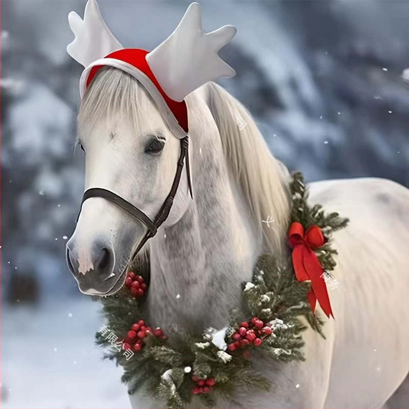 Καπέλο αλόγου, Μοντέλο 987654321, για άλογα, εξαγωγικά αποκλειστική διαθεσιμότητα, Δεν εισάγεται