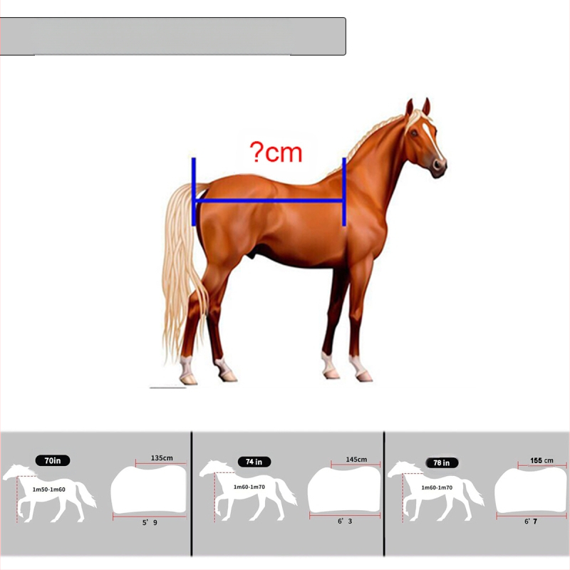 Παλτό για άλογο το χειμώνα: ζεστό, αδιάβροχο και διαπνέον; νάιλον με PP βαμβάκι; προσαρμοζόμενο λογότυπο