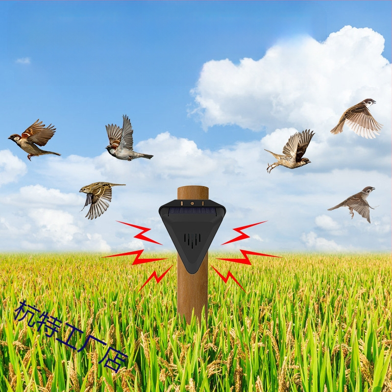 Устройство за отблъскване на птици, стенен монтаж, безжичен, модел N911Q, за езера, градини и оризища