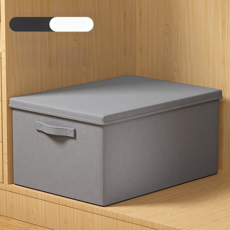 Youna SNX6013 Θήκη Αποθήκευσης Ρούχων, Πτυσσόμενη, 60–70 L, Μη Υφασμένο Ύφασμα, Μεταφορά Με το Χέρι