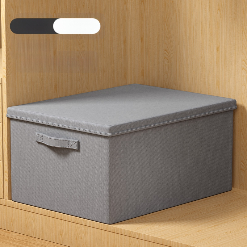 Youna SNX6013 Θήκη Αποθήκευσης Ρούχων, Πτυσσόμενη, 60–70 L, Μη Υφασμένο Ύφασμα, Μεταφορά Με το Χέρι