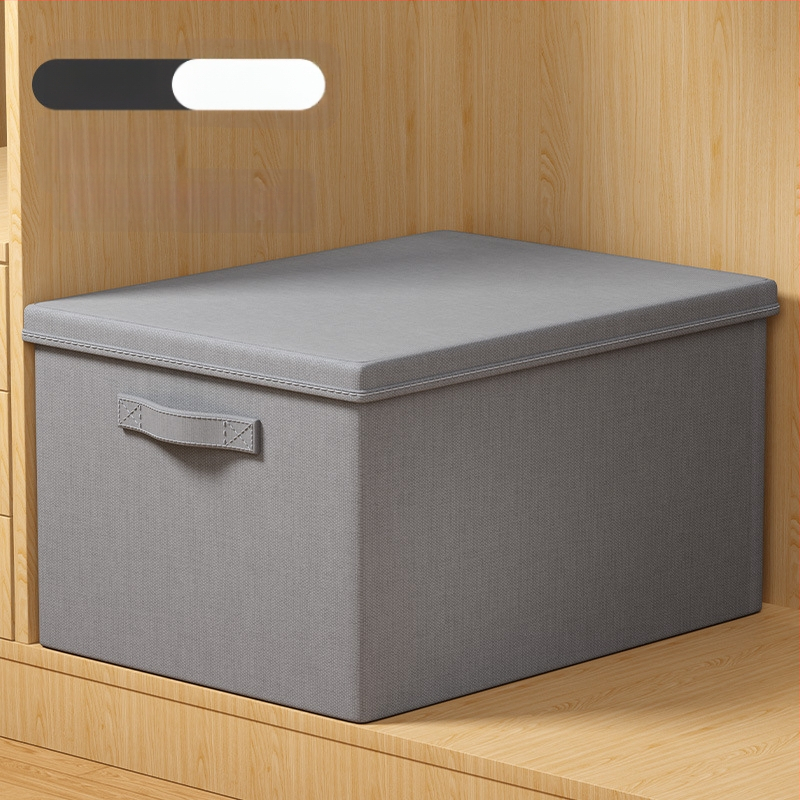 Youna SNX6013 Θήκη Αποθήκευσης Ρούχων, Πτυσσόμενη, 60–70 L, Μη Υφασμένο Ύφασμα, Μεταφορά Με το Χέρι