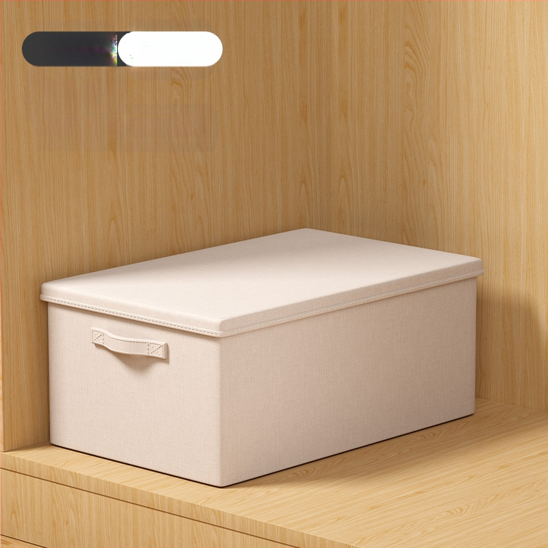 Youna SNX6013 Θήκη Αποθήκευσης Ρούχων, Πτυσσόμενη, 60–70 L, Μη Υφασμένο Ύφασμα, Μεταφορά Με το Χέρι