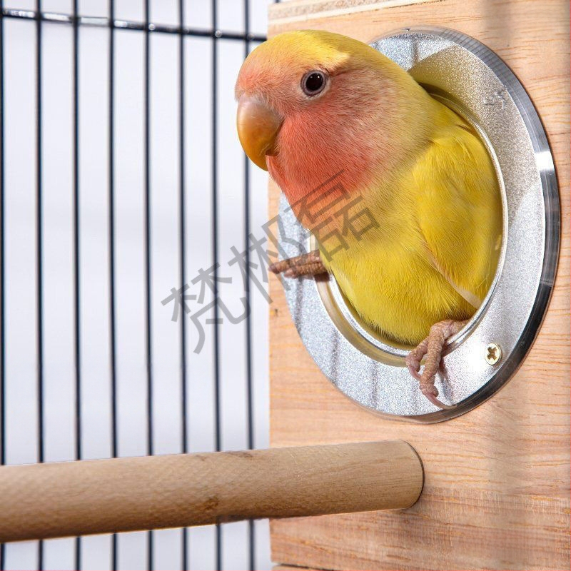 Cutie din lemn pentru reproducerea papagalilor cu cuib suspendat, model RR7hQhsi