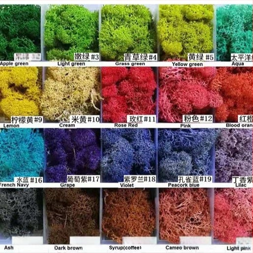 Dirbtinis samanas – rankų darbo, biomimetiška gamyba, sieninė dekoracija kraštovaizdžiui, kartoninė pakuotė