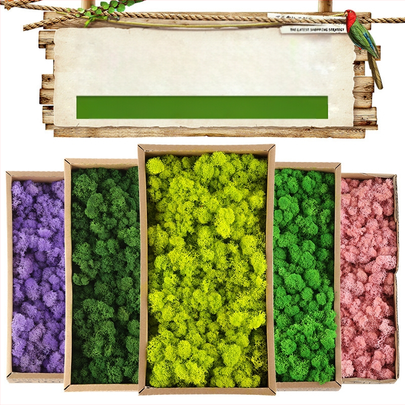 Dirbtinis samanas – rankų darbo, biomimetiška gamyba, sieninė dekoracija kraštovaizdžiui, kartoninė pakuotė