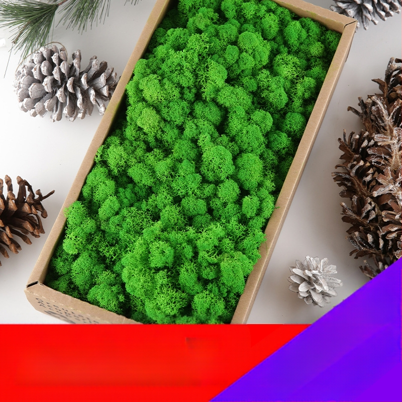 Dirbtinis samanas – rankų darbo, biomimetiška gamyba, sieninė dekoracija kraštovaizdžiui, kartoninė pakuotė