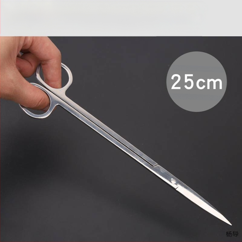 Nerūsējošā tērauda pincetes ar apaļu galvu, neslīdošas, garas akvārijiem (Yang Dao) - rokturis: Cits; gals: Cits; izcelsme: Ķīna