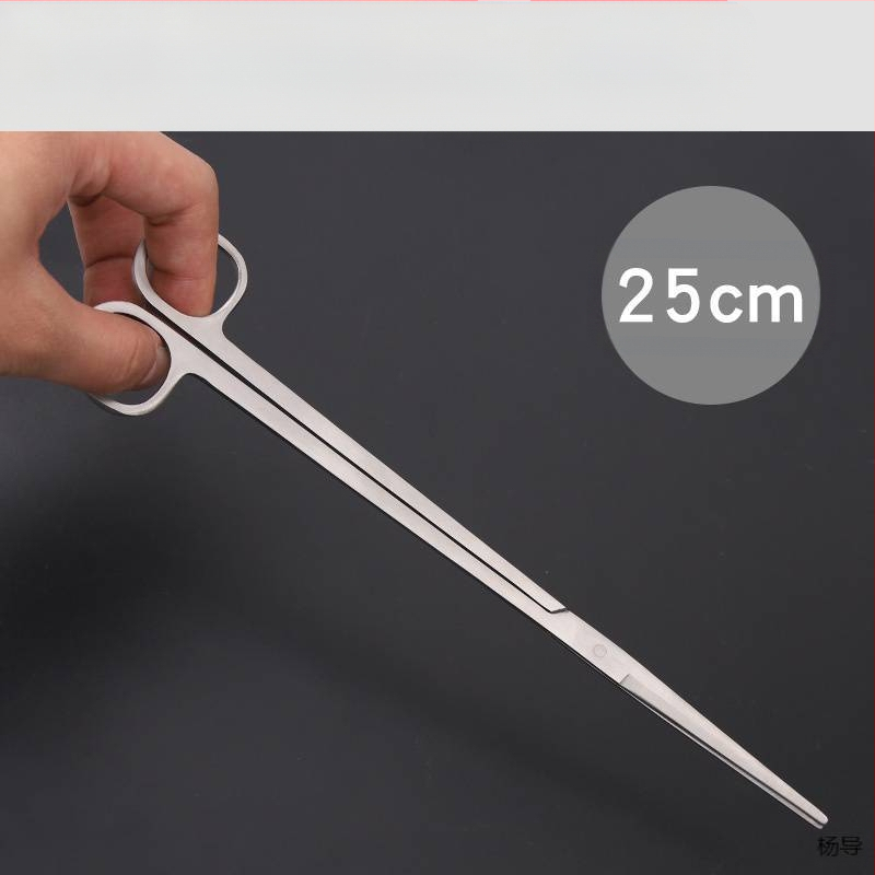Nerūsējošā tērauda pincetes ar apaļu galvu, neslīdošas, garas akvārijiem (Yang Dao) - rokturis: Cits; gals: Cits; izcelsme: Ķīna