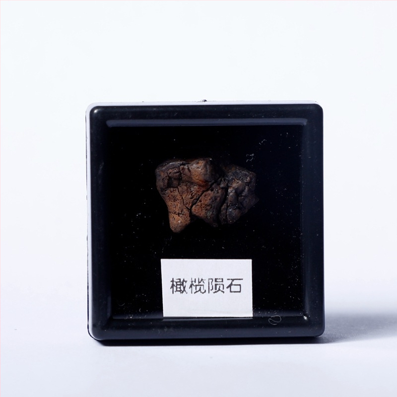 Μενταγιόν Campo από ολιβινωμένο μετεωρίτη, γεωμετρικός σχεδιασμός, δείγμα δώρου