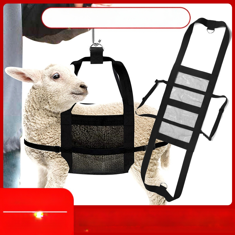 Zvēru svara tīklveida josta – Pakaramā svaru josta, Poliestera/nylon-poliester maisījums, piemērota maziem dzīvniekiem un liellopiem