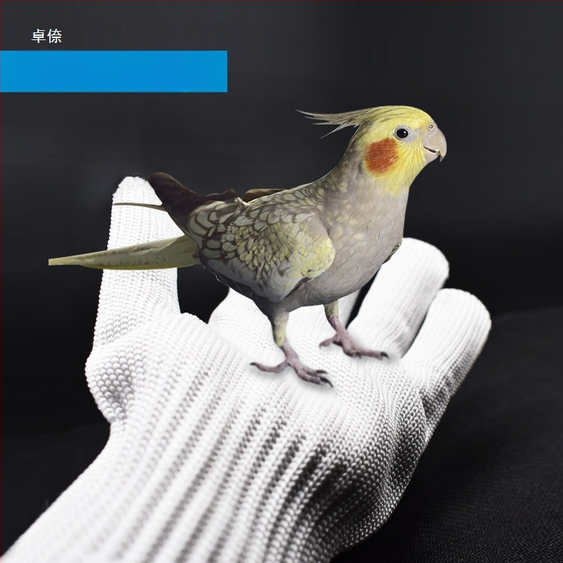 Γάντια πρόληψης δαγκωμάτων παπαγάλων – Μοντέλο 1004712024 – Υλικό: Άλλο