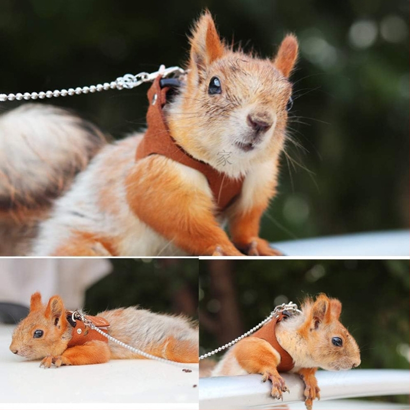 Harnas za šetnju hrčka, filc materijal, pakiranje 500 kom, težina oko 12 kg