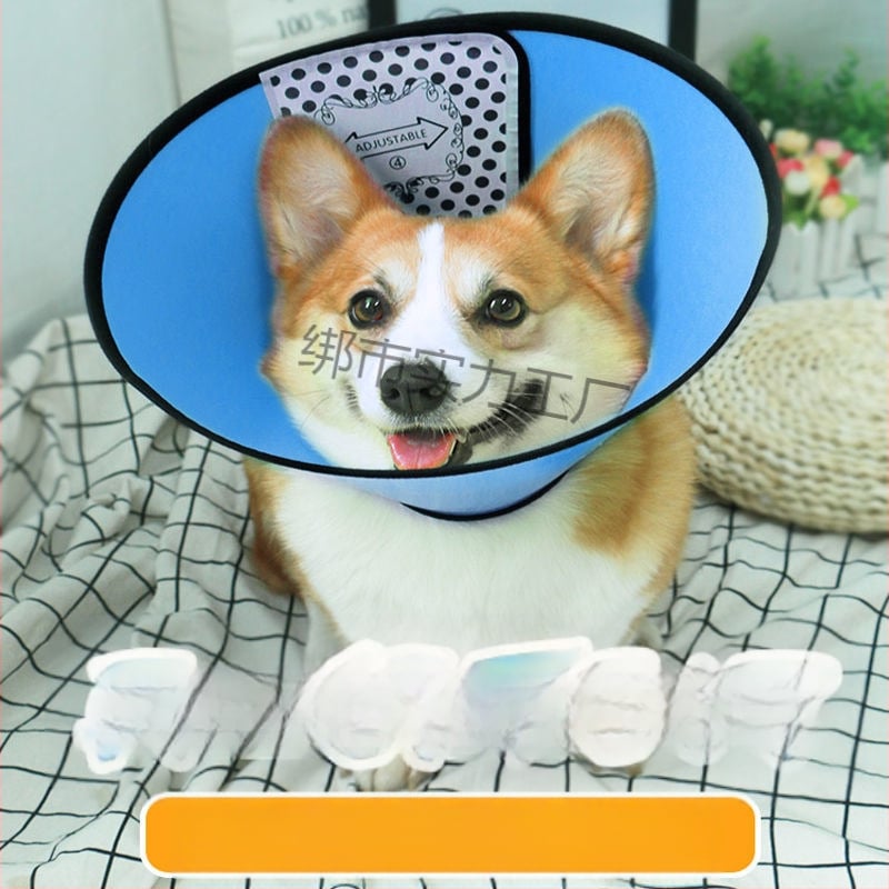 Κολάρο Ελισαβέτον για κατοικίδια – Εκτεταμένη προστασία από γλείψιμο και δάγκωμα, προστατευτικό λαιμού (Υλικό: Άλλο; Κρεμαστό: Άλλο; Σχήμα: Άλλο; Περίοδος: Χειμώνας 2025)