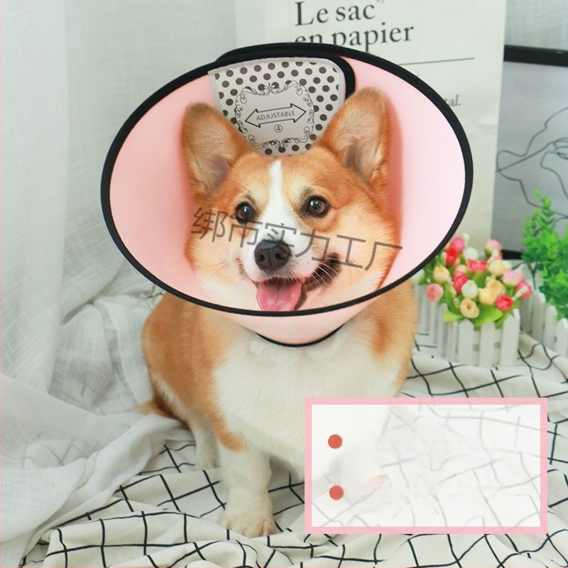 Κολάρο Ελισαβέτον για κατοικίδια – Εκτεταμένη προστασία από γλείψιμο και δάγκωμα, προστατευτικό λαιμού (Υλικό: Άλλο; Κρεμαστό: Άλλο; Σχήμα: Άλλο; Περίοδος: Χειμώνας 2025)