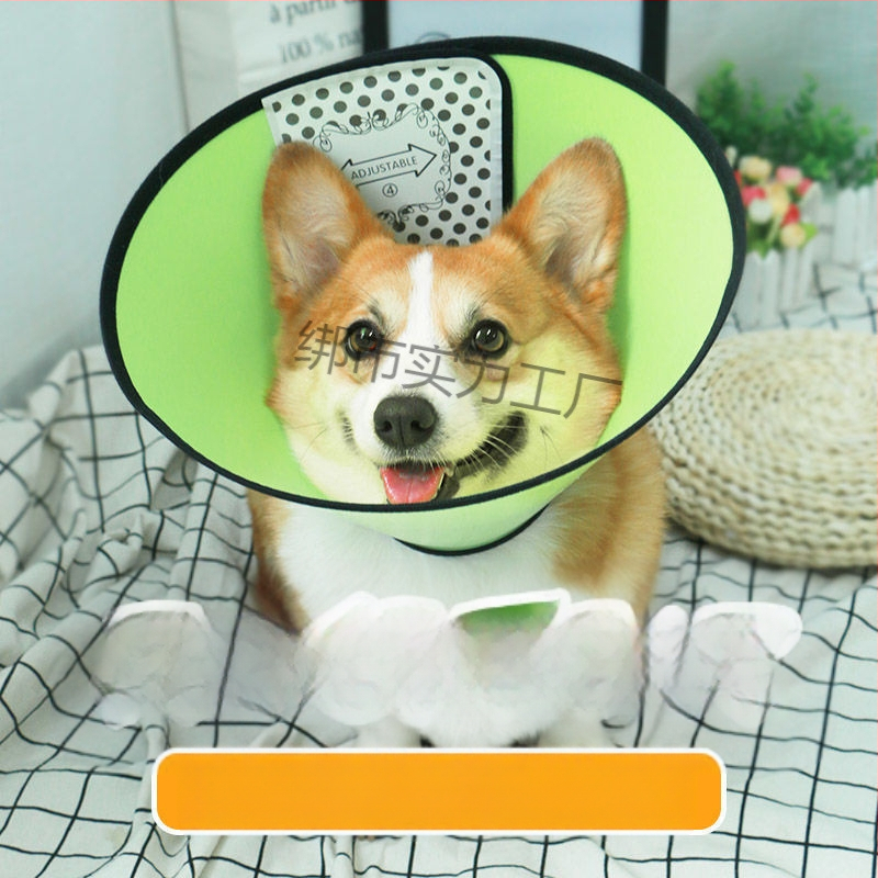 Κολάρο Ελισαβέτον για κατοικίδια – Εκτεταμένη προστασία από γλείψιμο και δάγκωμα, προστατευτικό λαιμού (Υλικό: Άλλο; Κρεμαστό: Άλλο; Σχήμα: Άλλο; Περίοδος: Χειμώνας 2025)