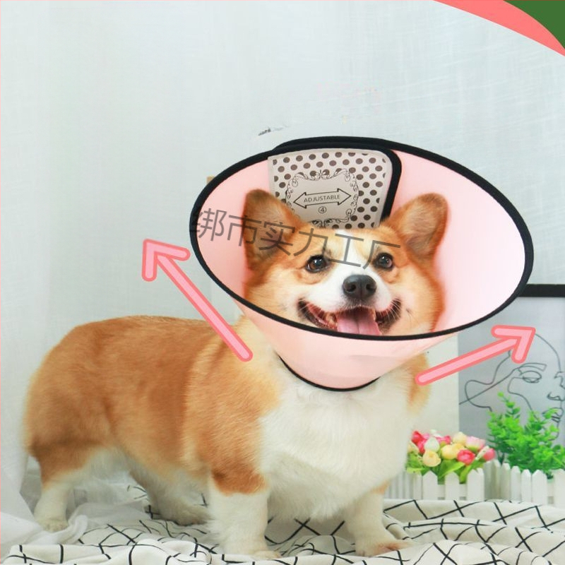 Κολάρο Ελισαβέτον για κατοικίδια – Εκτεταμένη προστασία από γλείψιμο και δάγκωμα, προστατευτικό λαιμού (Υλικό: Άλλο; Κρεμαστό: Άλλο; Σχήμα: Άλλο; Περίοδος: Χειμώνας 2025)