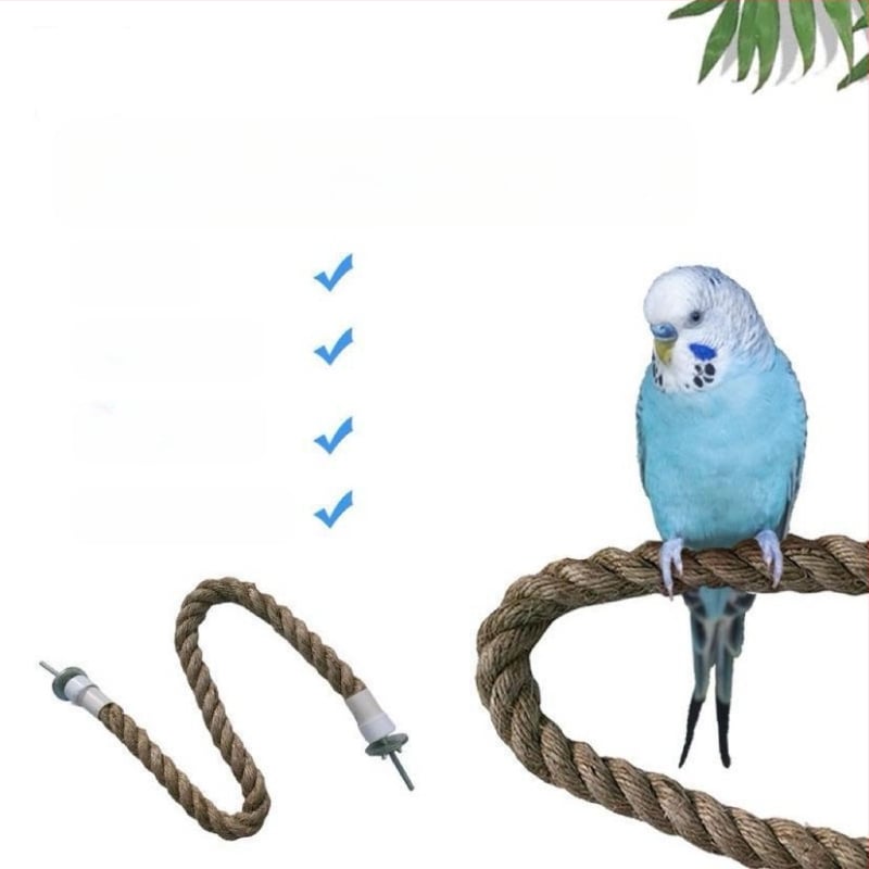Παιχνίδι για πουλιά με σκοινί ιούτα για ανάβαση και βεντούζα, για ενήλικα πουλιά, αξεσουάρ κλουβιού