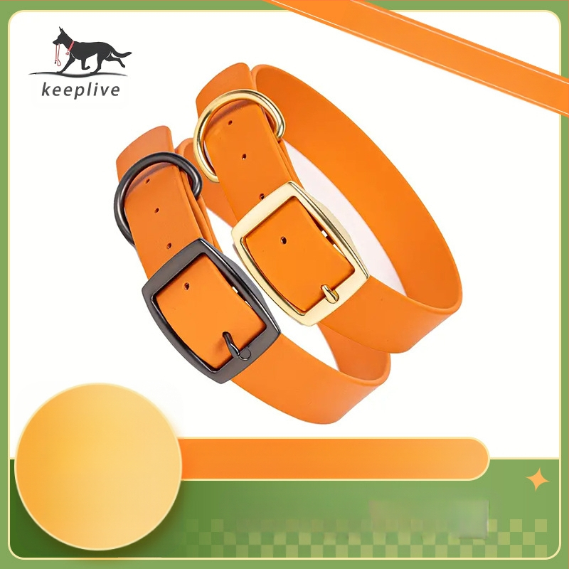 Šunų apykaklė iš plastiko, reguliuojama, kasdienio stiliaus, lauko treniruotė