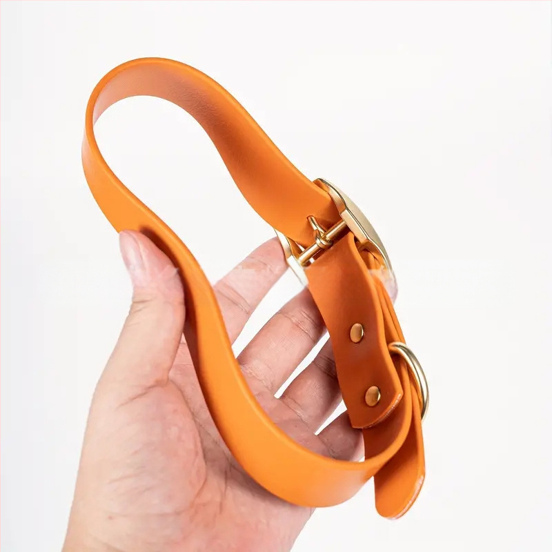 Šunų apykaklė iš plastiko, reguliuojama, kasdienio stiliaus, lauko treniruotė