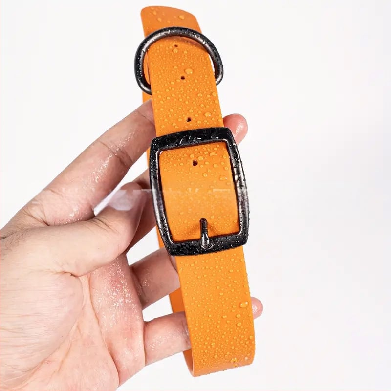 Šunų apykaklė iš plastiko, reguliuojama, kasdienio stiliaus, lauko treniruotė