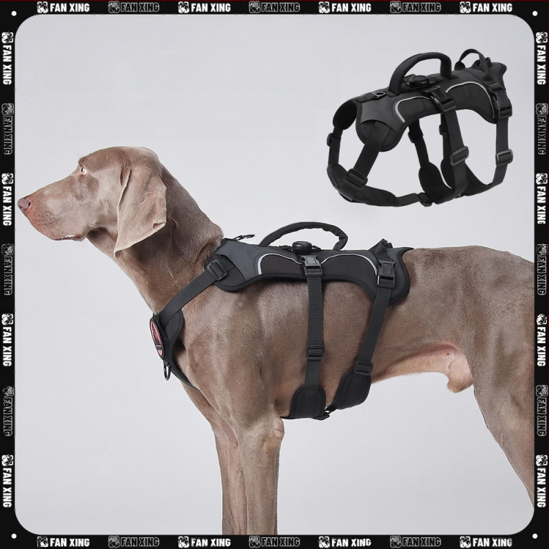 Θωρακικός ιμάντας σκύλου — Oxford ύφασμα, μοντέλο F5011, μη επεκτειόμενος ιμάντας, προέλευση Zhejiang