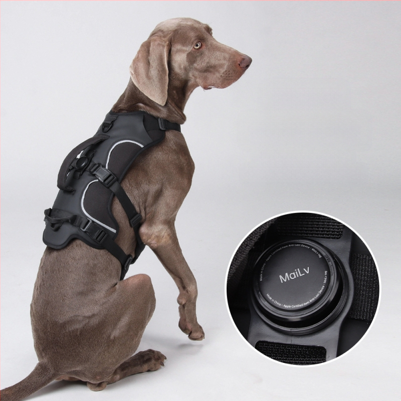 Θωρακικός ιμάντας σκύλου — Oxford ύφασμα, μοντέλο F5011, μη επεκτειόμενος ιμάντας, προέλευση Zhejiang