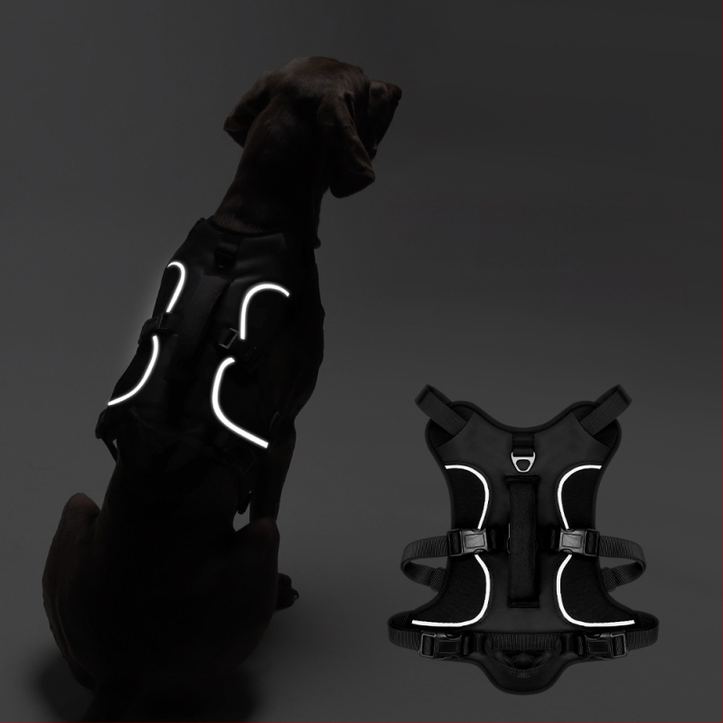 Θωρακικός ιμάντας σκύλου — Oxford ύφασμα, μοντέλο F5011, μη επεκτειόμενος ιμάντας, προέλευση Zhejiang